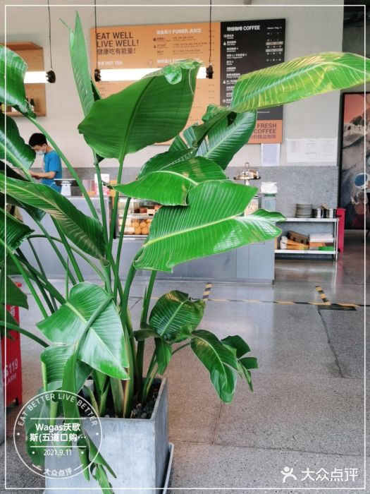 Wagas沃歌斯(五道口购物中心店)图片