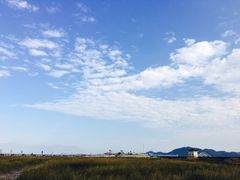 -蛇蟠岛