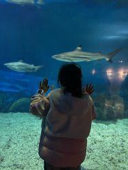 -卡通尼·Safari非洲探索乐园·生日会(金桥国际商业广场店)