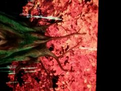 android_upload_pic-中影国际影城(建军路金鹰购物中心店)