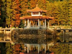 -深圳仙湖植物园