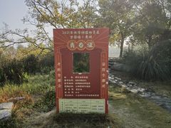 -泗洪洪泽湖湿地景区