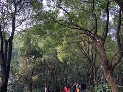-东湖落雁景区