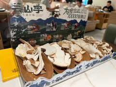 当季野生菌四拼-芸山季·云南山珍菌火锅(南翔印象城MEGA店)