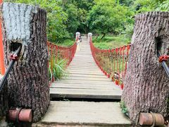 -梧桐山风景名胜区