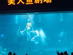 -福州罗源湾海洋世界旅游区