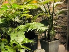 -茶理宜世(东方宝泰店)