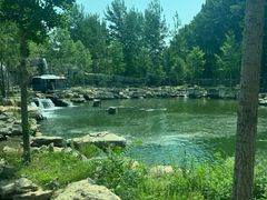 -北京野生动物园