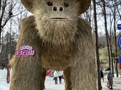 -洛阳白云山景区