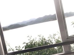 -望湖烤鱼