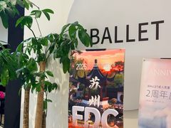 -iBallet爱芭蕾舞蹈艺术中心(星合校区)