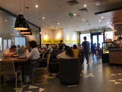 -油梨树 AVOCADO TREE(亮马桥店)
