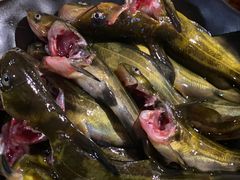 -二荆条·蜀鲜汇城市森林火锅