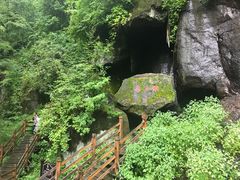 -望天鹅景区