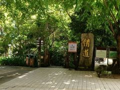 -海南霸王岭国家森林公园