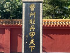 -曹州牡丹园