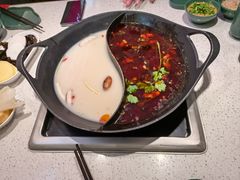 -新辣道鱼火锅(龙旗广场店)
