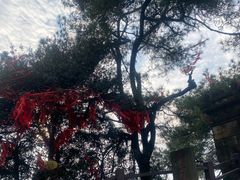-缙云山景区