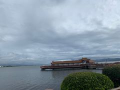 -洱海月湿地公园
