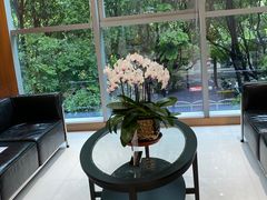 -TSK齿科德申会口腔门诊·联洋诊所