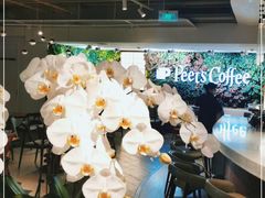 大堂-Peet's 皮爷咖啡(东湖路手作店)