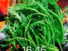 -湊湊火锅·茶憩(皇姑万象汇店)