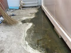 -北京恒爱动物医院(清景园分院)