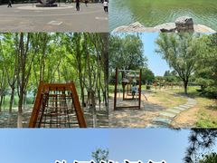 -大兴滨河森林公园