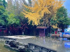 -白帝城·瞿塘峡景区