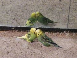 -酷嗒动物文化乐园(cutezoo西溪乐天城店)