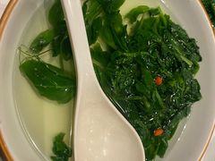 -峨嵋酒家 南北川菜 优选烤鸭(广渠路店)