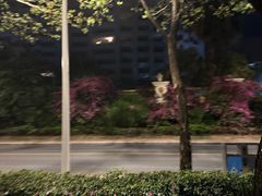 -三亚湾皇冠假日度假酒店·临风大堂酒廊