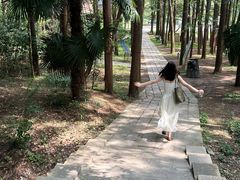 -同里国家湿地公园