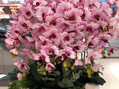 -远洋未来广场(育慧北路店)