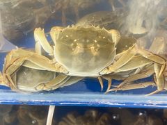 -阳澄湖大闸蟹·琼灵阁牌品牌连锁(吴中总店)