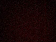 -园里前·10年私厨·福建菜(台江万达鳌峰洲店)