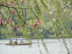 -苏堤停车场