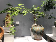 -江宴渔村·鱼鲜土菜(紫荆广场店)