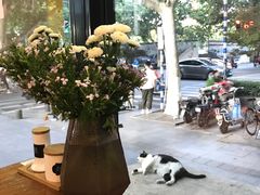 -囿面传统制面馆(中央路店)