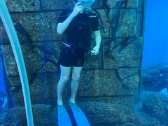 -哈尔滨波塞冬海底世界