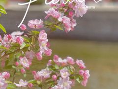 -海棠花溪(元大都城垣遗址公园)