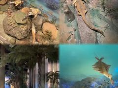 -浙江自然博物院(杭州馆)