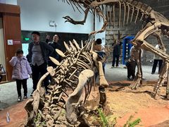 -自贡恐龙博物馆