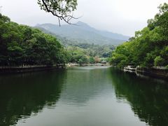 -罗浮山·罗园农庄