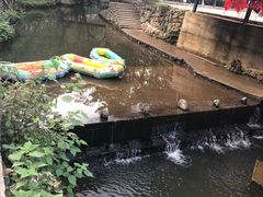 -夏霖九天银瀑风景区