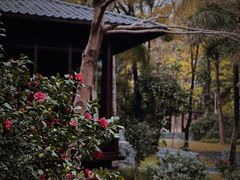 -深圳国际园林花卉博览园