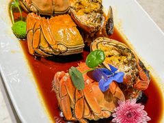 -杨氏青龙虾·羊蝎子(金盛路总店)