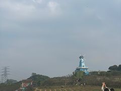 -荔景渔庄