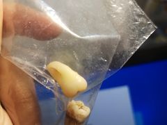 -牙博士口腔品牌连锁(杨浦店)