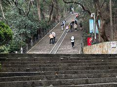 -上海佘山国家森林公园西佘山园